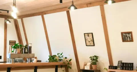 Salt Spring Brewing tasting room with cans on the shelf