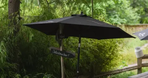 The wooded patio at Salt Spring Brewing in the Fulford Valley