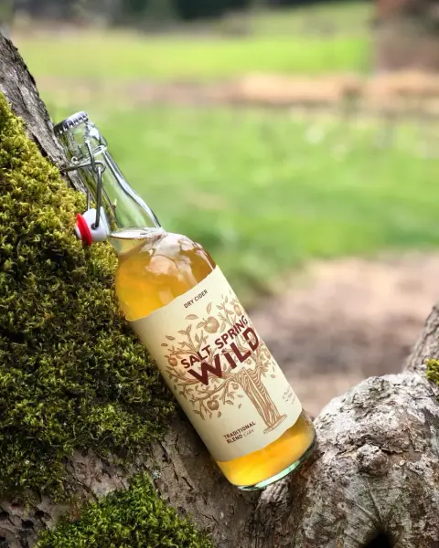 A bottle of Salt Spring Wild Dry Cider