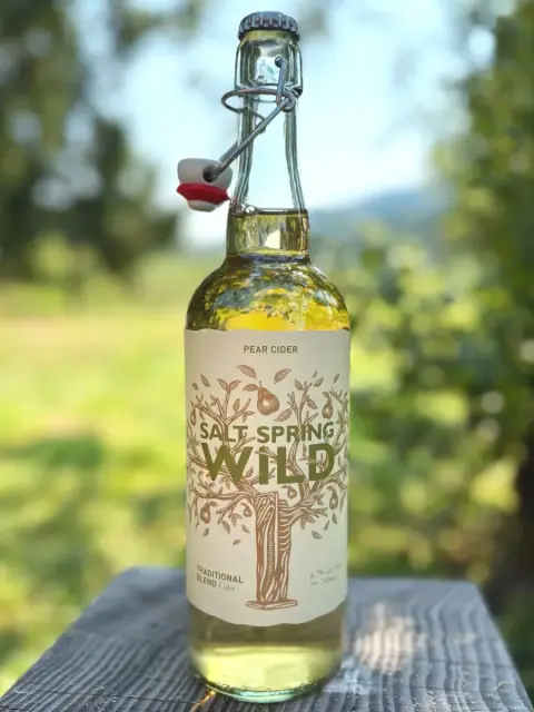A bottle of Salt Spring Wild pear cider (perry)