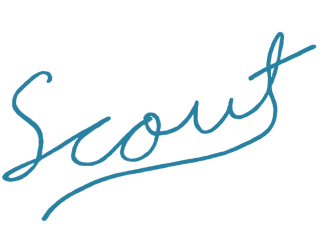 Scout Vineyard
