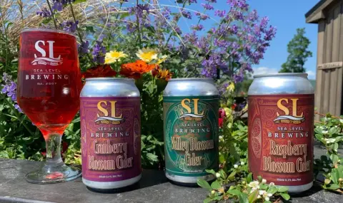 Sea Level Blossom series ciders