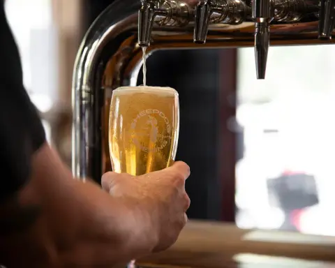 Beer being poured from the tap at Sheepdog Brewing