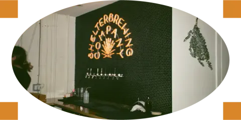 The Shelter Brewing Company sign and tap wall