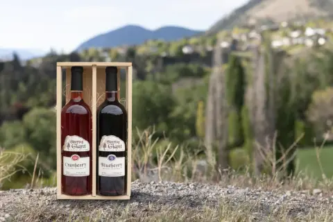 Gift Pack – Blueberry and Cranberry duo