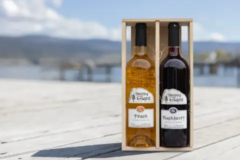 Gift Pack - Peach and Blackberry duo