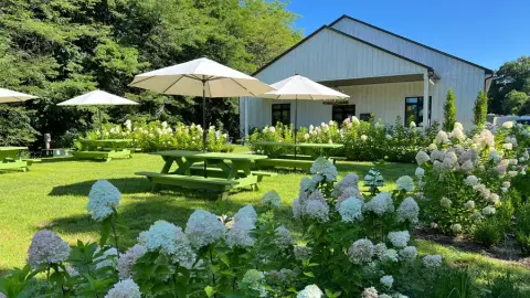 Sons & Daughters courtyard in Pelham, Niagara with outdoor seating and hydrangeas in the summer