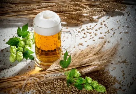 Stettler Brewing Company product photo