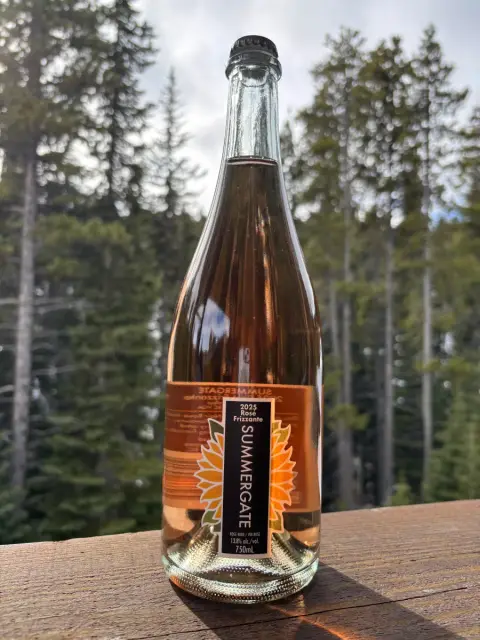 2025 Rosé Frizzante (750ml)