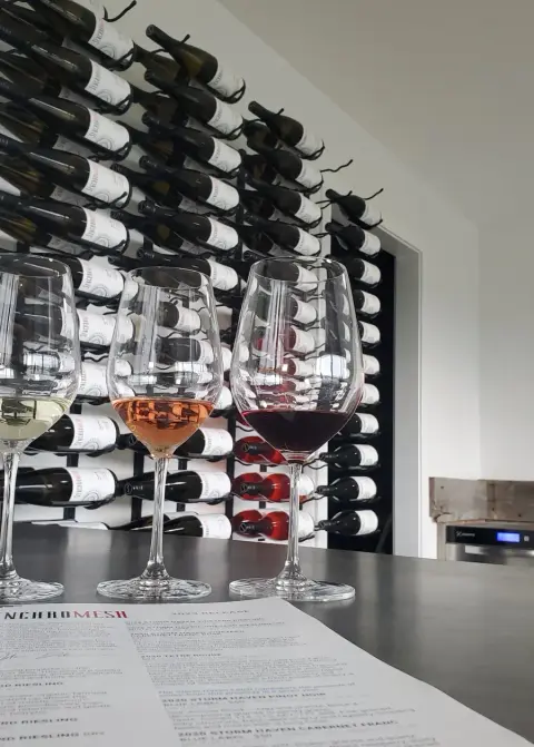 Explore Synchromesh Wines  6 PACK