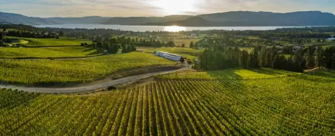 Aerial view of the Tantalus estate vineyard above Okanagan Lake