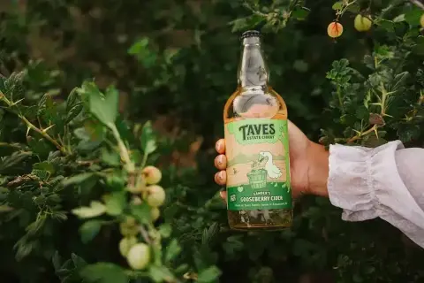 Taves Estate Cidery Gander's Gooseberry cider bottle