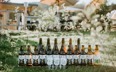 A row of Brickers cider bottles on the grass by the orchard