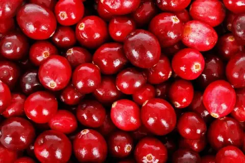 Cranberries from the Fort Wine Co. farm