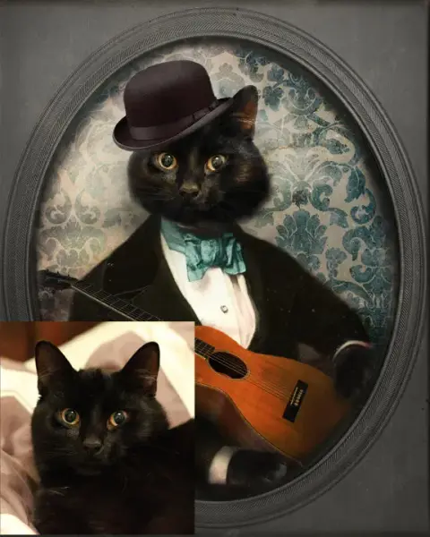 Custom Cat Portrait