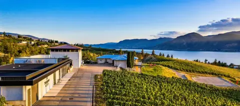Aerial view of the Therapy Vineyards estate