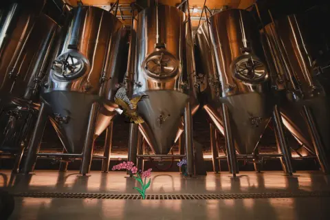 Fermentation tanks in the Three Bears brewery