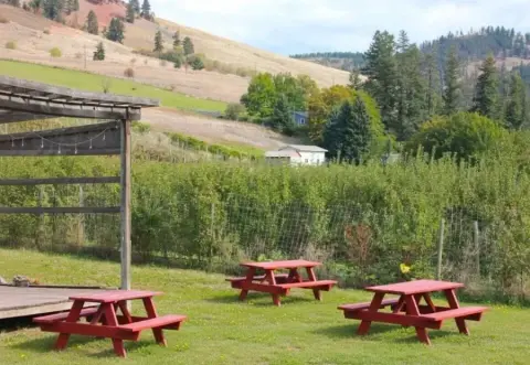 Red picnic tables on the grass at Tony's Craft Cidery in Coldstream