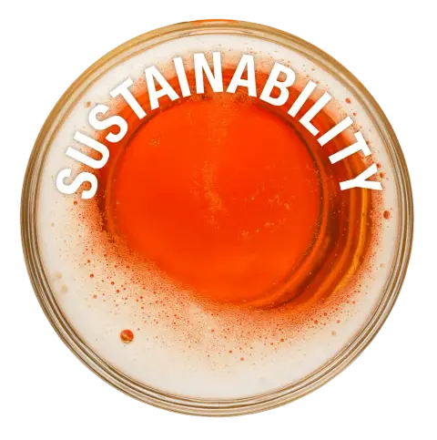 Torched Brewing Company product photo
