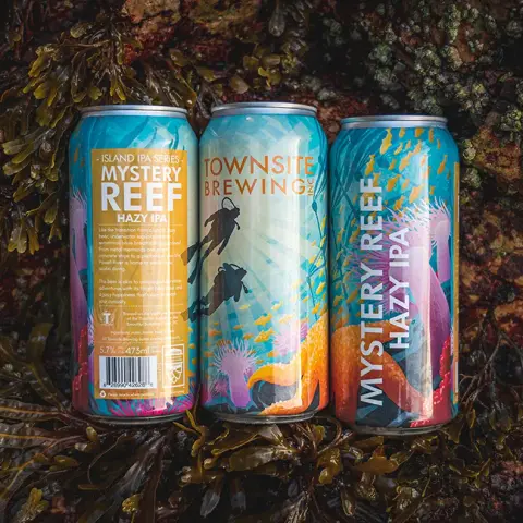 Cans of Townsite Mystery Reef Hazy IPA in seaweed