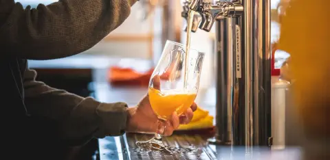 townsite brewing