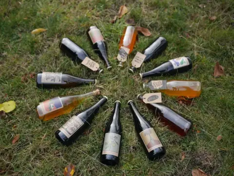 A circle of Twin Island Cider bottles laid out on the grass