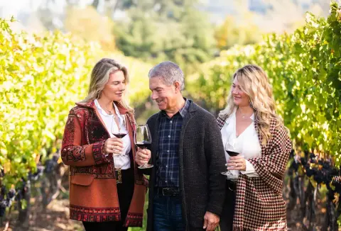 Two Sisters Vineyards product photo