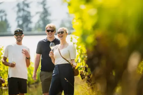 Unsworth Vineyards product photo