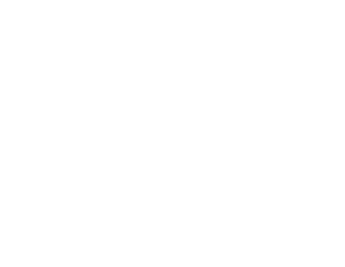 Valley Brewing
