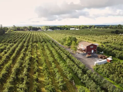 Aerial view of the Charbonneau orchard and cidery