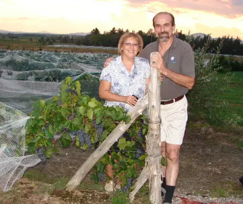 Vignoble Chemin de la Rivière product photo