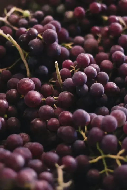 Vignoble Côte des Limousins product photo