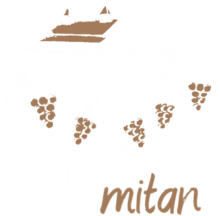 Vignoble du Mitan
