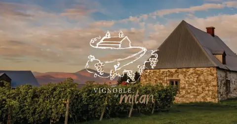 Vignoble du Mitan product photo