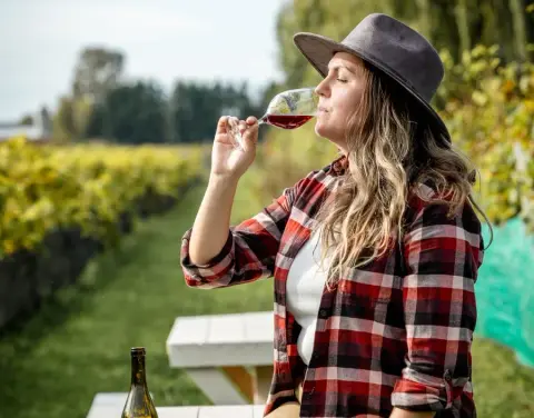 Vignoble et Domaine Beauchemin product photo