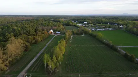DJI_0380.jpg