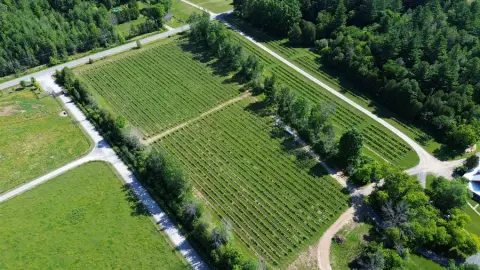 DJI_0072_LR.jpg