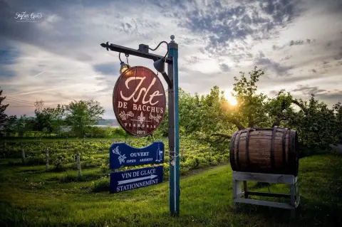 Vignoble Isle de Bacchus product photo