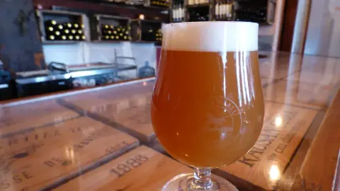 A glass of Kobloth Shire New England IPA on the tasting-room bar
