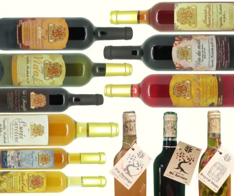 Vins