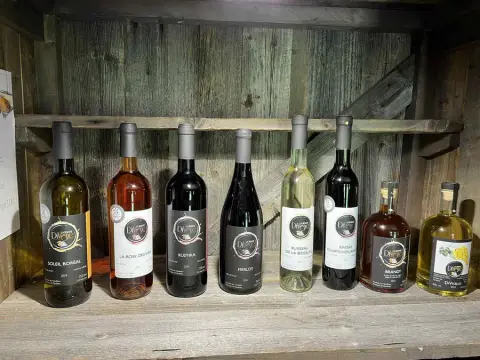 The La Bonté DiVigne wines