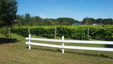 La Bonté DiVigne Vineyard