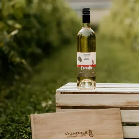 Bottle of L'Envolée white wine