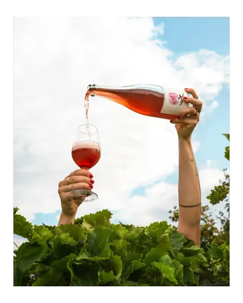 Vignoble l'Ardennais product photo