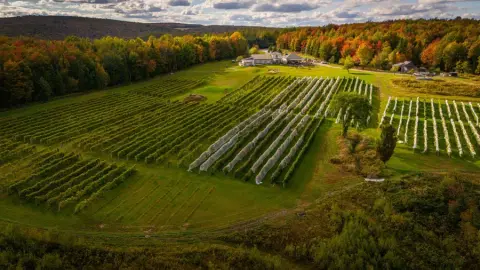 The Côtes du Gavet vineyard estate