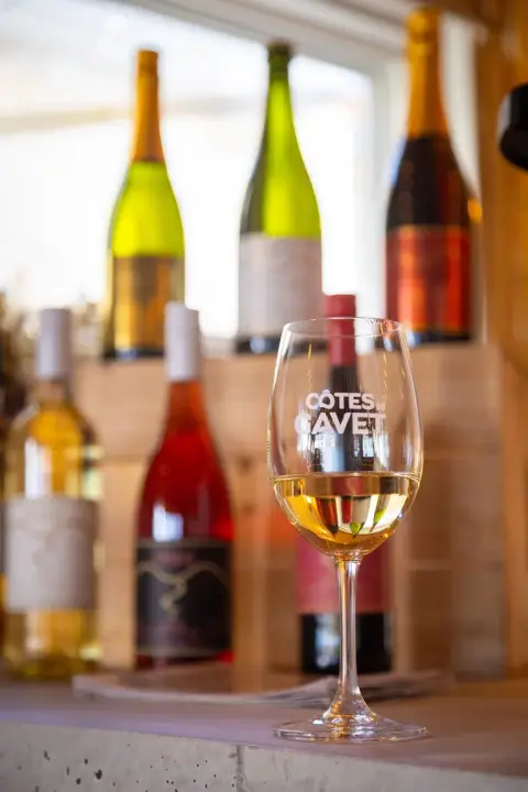 White wine at the vineyard