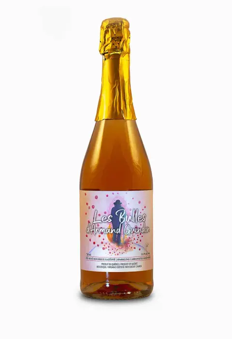 Vignoble Saint-Gabriel product photo