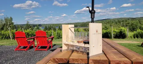 Tasting flight of five wines on a terrace facing the vines