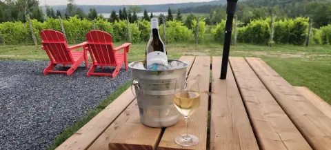 Bottle of Le Katevale in an ice bucket beside a glass, with the vineyard behind