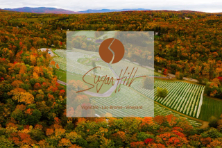 Vignoble Sugar Hill